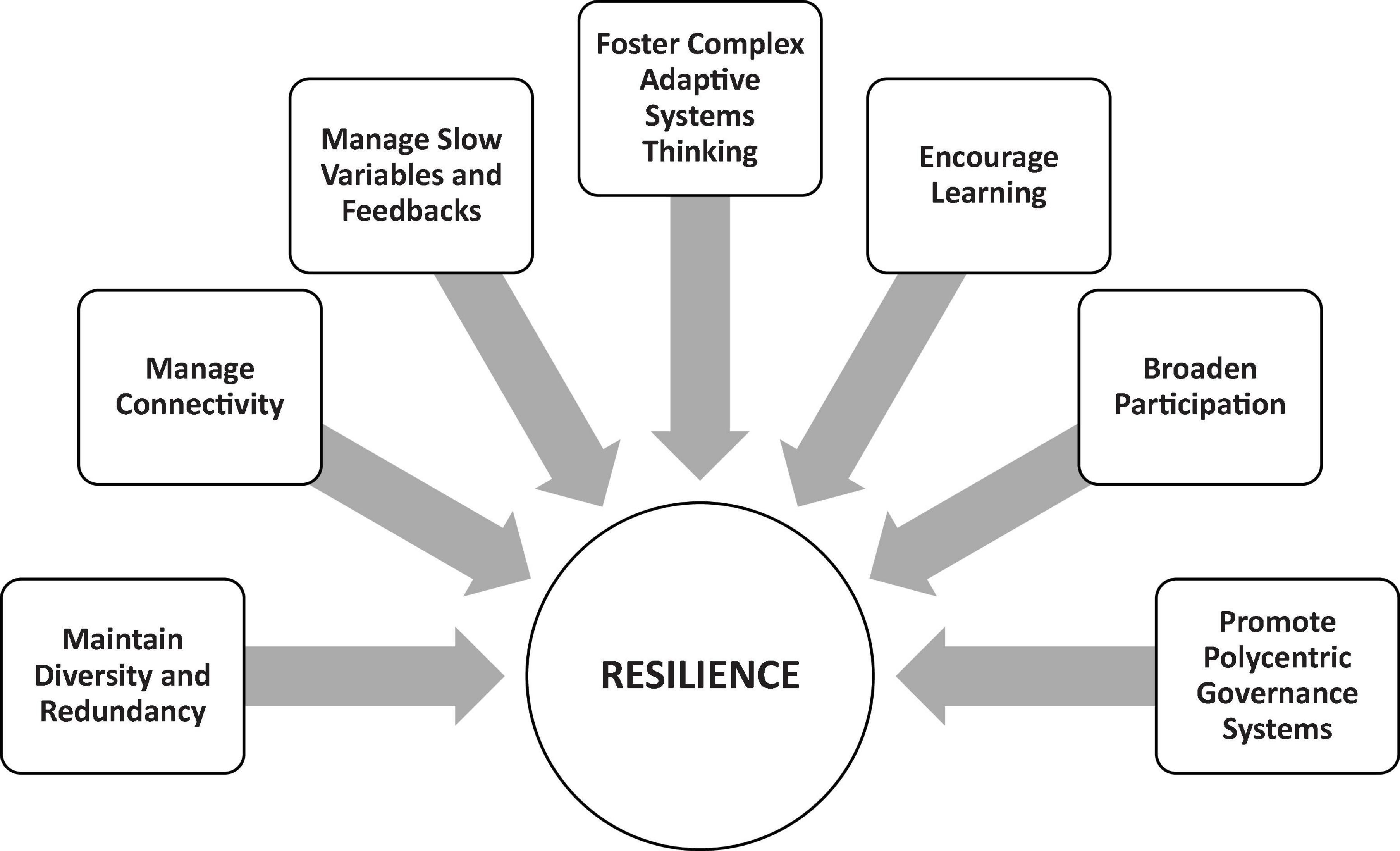 Building Resilience Into A Polycentric Network